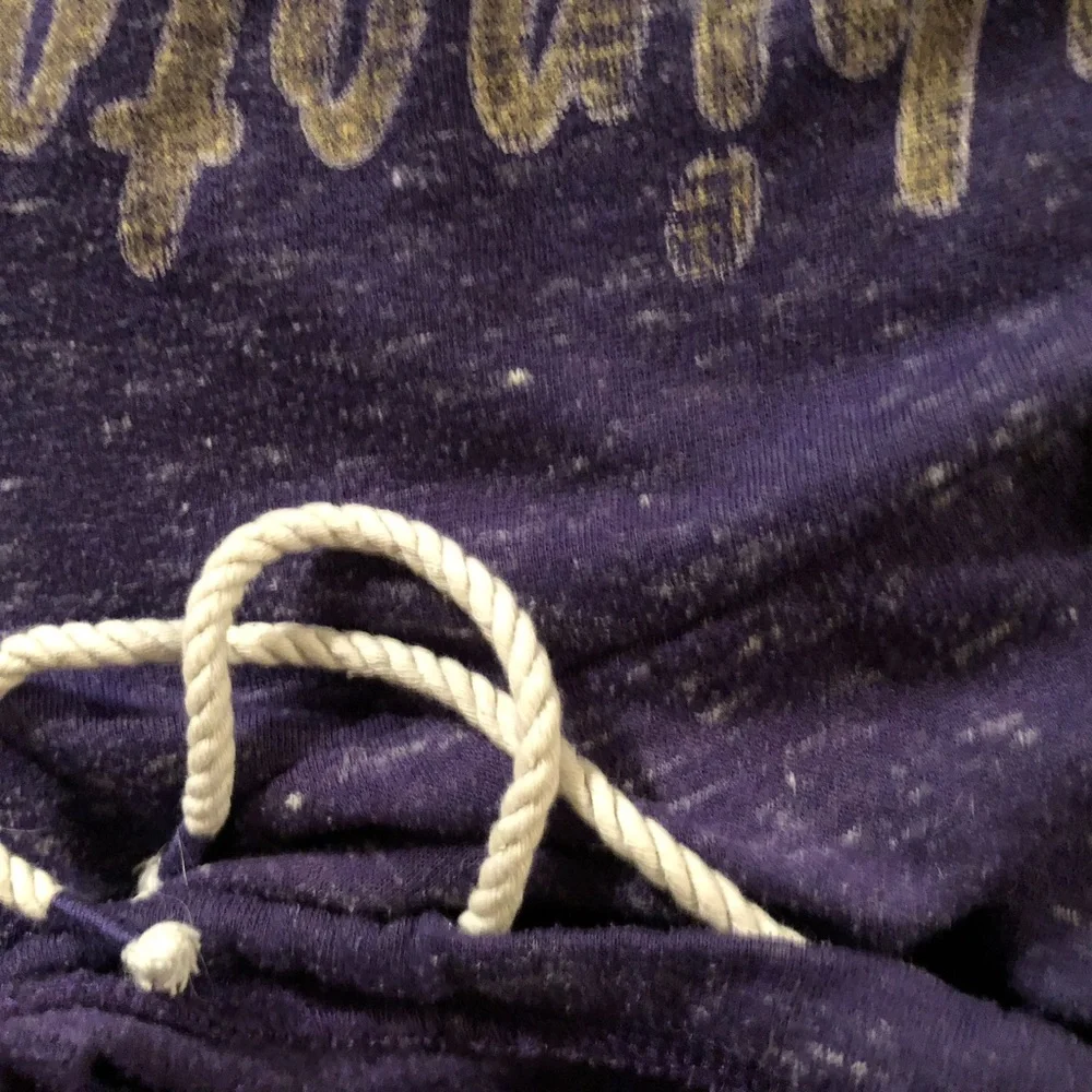 Stadium Athletics Purple Washington Hoodie - Picture 4 of 5